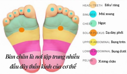 Cách Massage Chân Dễ Ngủ: Phương Pháp Hiệu Quả Giúp Bạn Thư Giãn