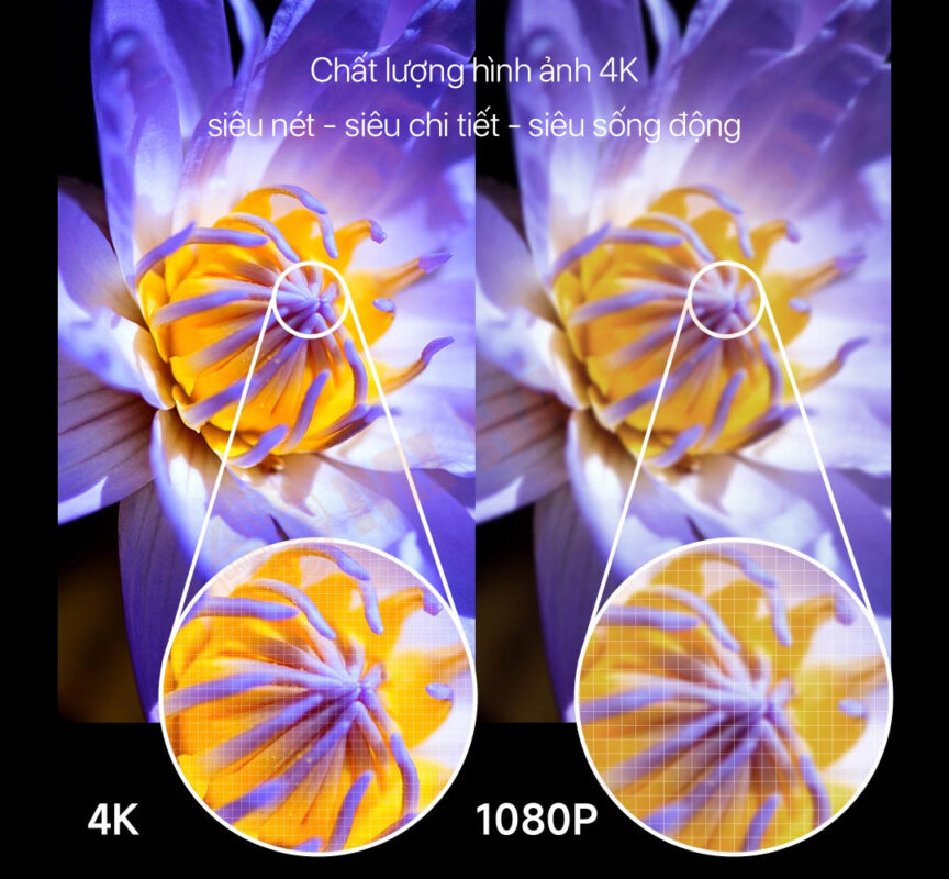 Chip hỗ trợ giải mã 4K HDR mang lại hình ảnh sắc nét, sống động tới từng chi tiết