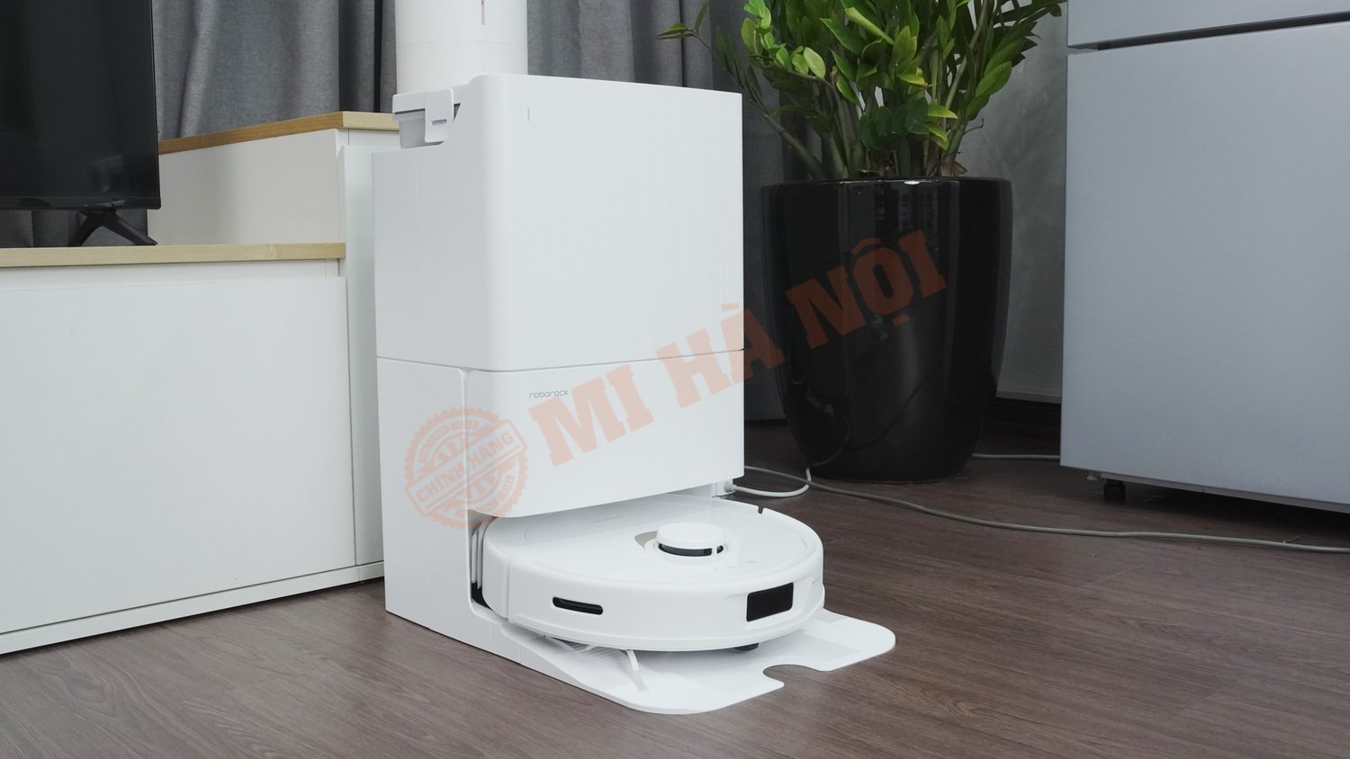Ảnh thực siêu đẹp mịn của robot Q Revo