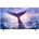 tivi 100 inch