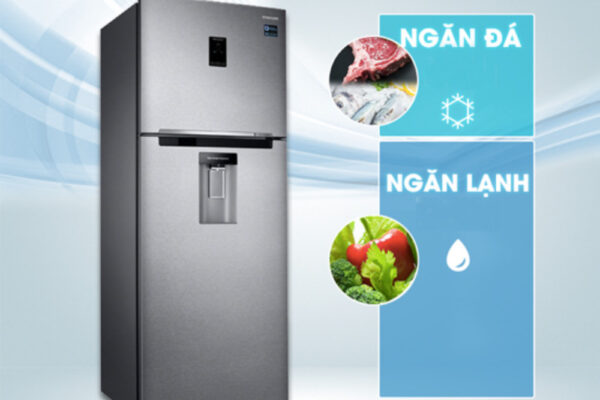 Thiết kế tủ lạnh ngăn đá trên