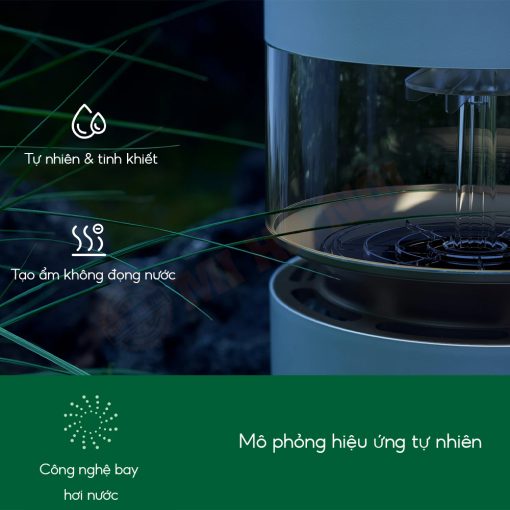 Máy tạo ẩm thông minh Xiaomi Smartmi Rainforest Humidifier