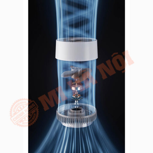 Động cơ không chổi than DC