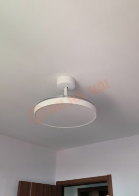 Quạt trần kèm đèn Xiaomi Mijia