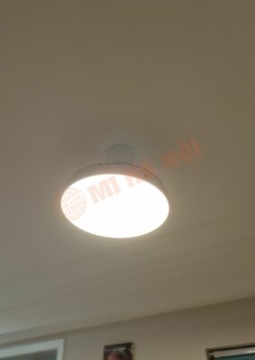 Quạt trần kèm đèn Xiaomi Mijia
