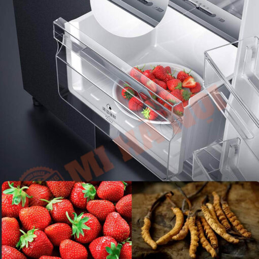 Tủ lạnh Xiaomi Mijia 540L
