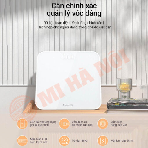 Thiết kế sang trọng và bền bỉ