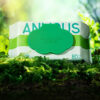 Khăn ướt Anmous tự tan