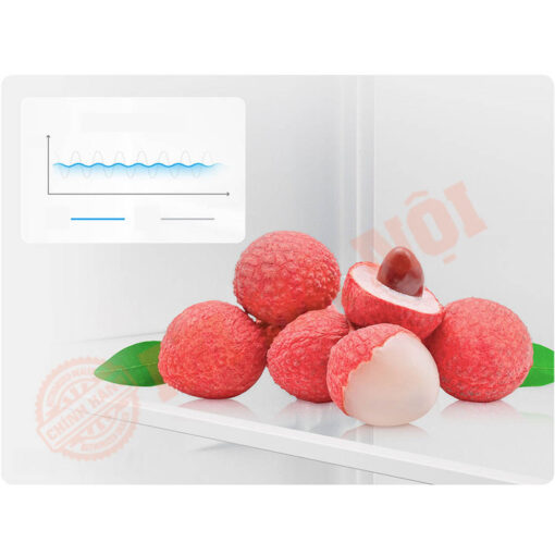 Bảo quản thực phẩm tươi ngon với biến tần kép, biến động nhiệt độ nhỏ, giữ tươi lâu hơn