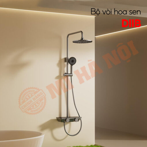 Bộ vòi hoa sen DIIIB