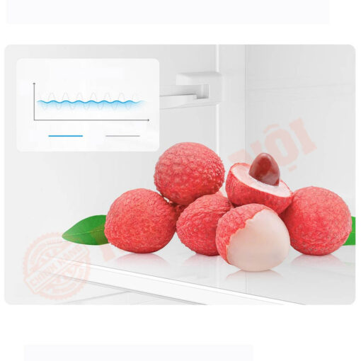 Giữ tươi ổn định nhờ công nghệ chuyển đổi tần số kép