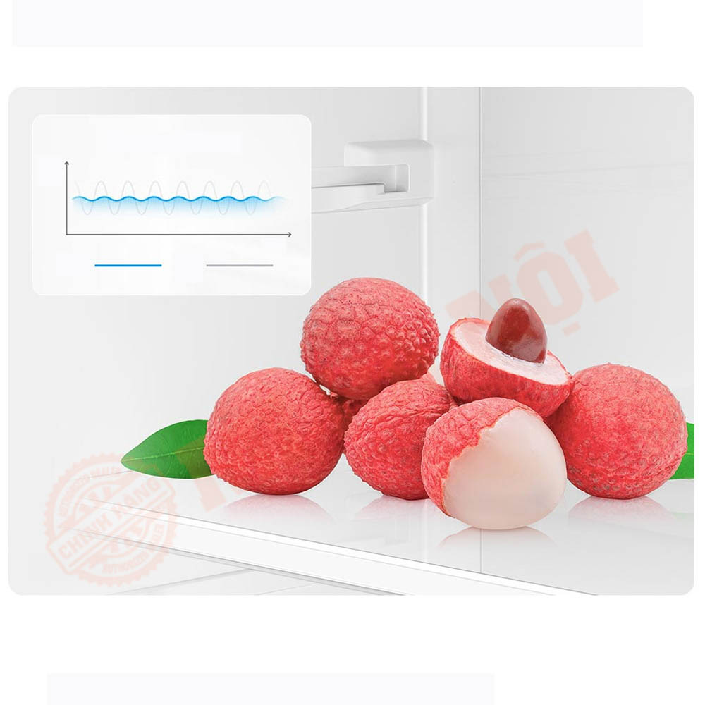 Giữ tươi ổn định nhờ công nghệ chuyển đổi tần số kép