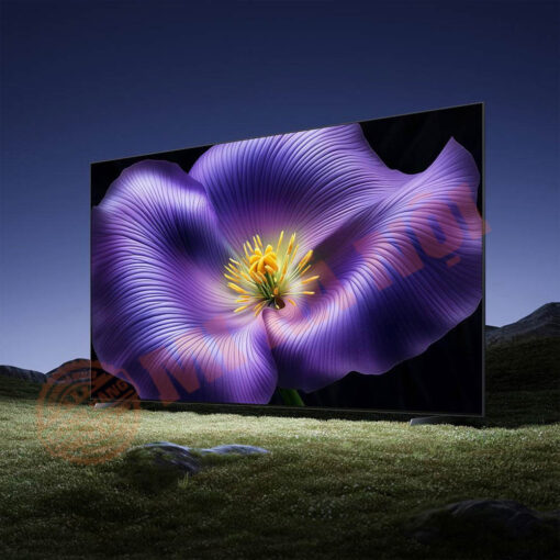 Tivi Xiaomi S Pro 65 Mini LED 2026
