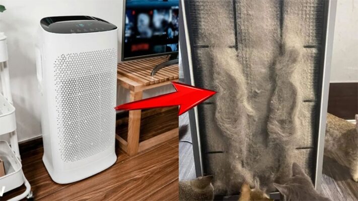 Nên bật máy lọc không khí bao lâu? Bật sai là giảm tuổi thọ máy 50%!